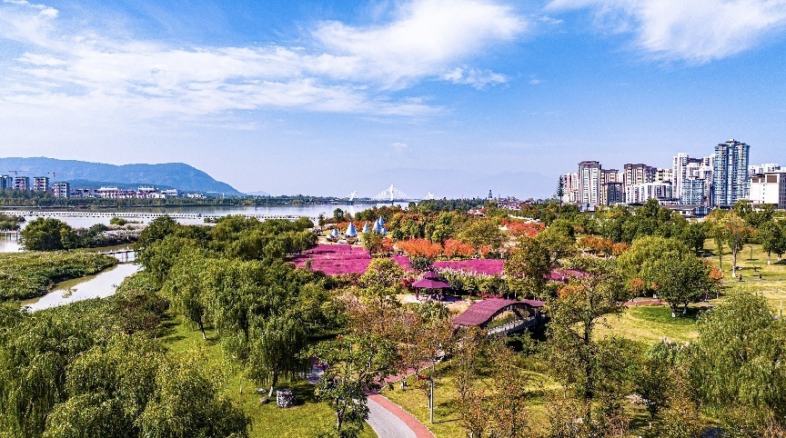 步入公園，仿佛走進(jìn)“色彩的世界”。王淦攝（資料圖片）